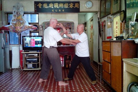 chow_image2